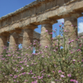Les Temples de la Sicile